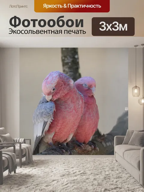 Фотообои Птицы