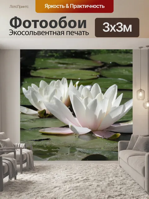 Фотообои Водяные лилии