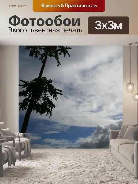 Фотообои Paw деревья с облака и небо