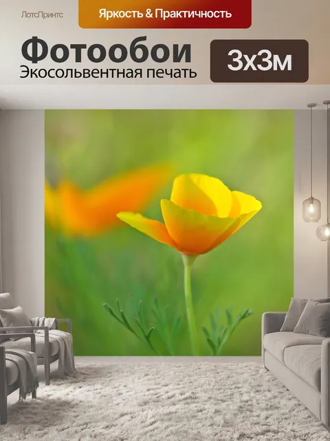 Фотообои Eschscholzia californica