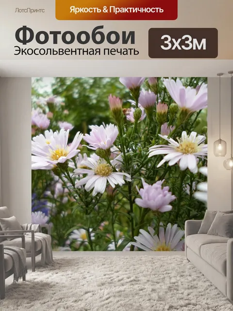 Фотообои Белый цветок желтый пестик