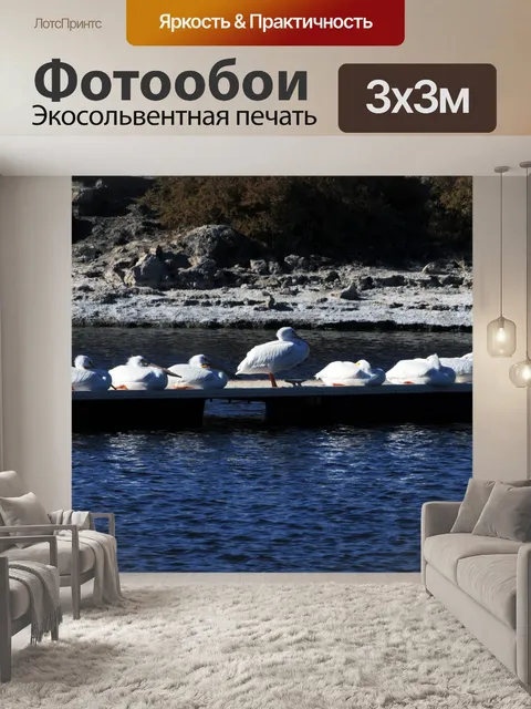 Фотообои Девять Пеликаны спальные