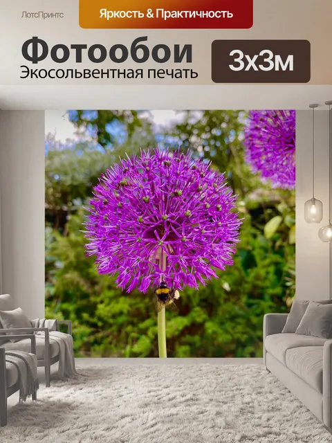 Фотообои Цветок