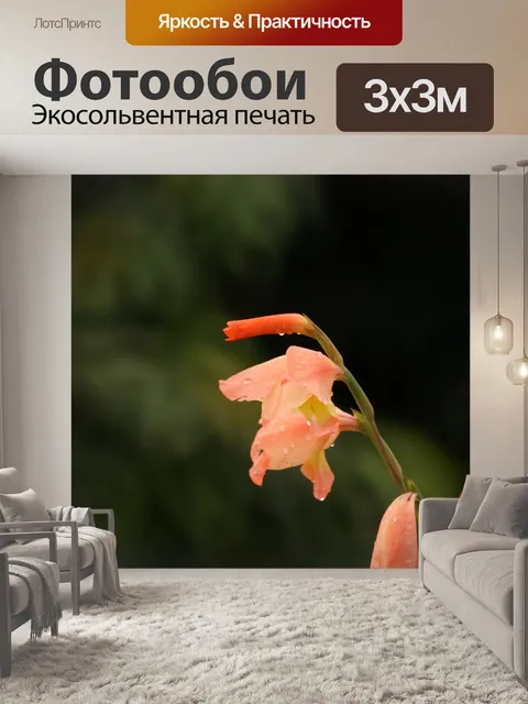 Фотообои Картинки