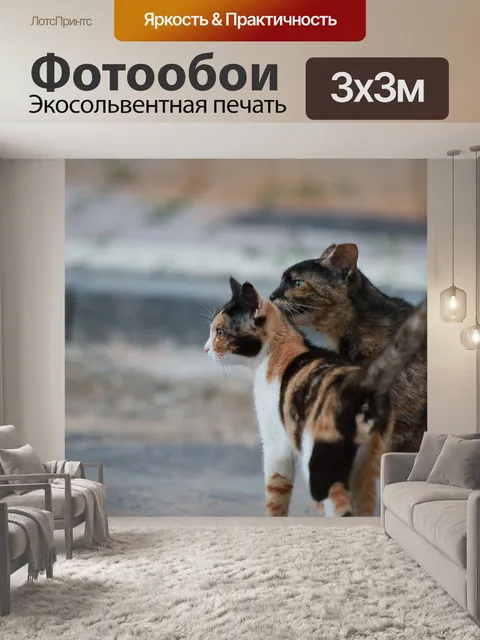 Фотообои Кошка
