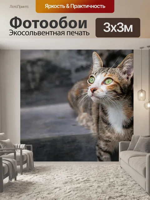 Фотообои Кошка