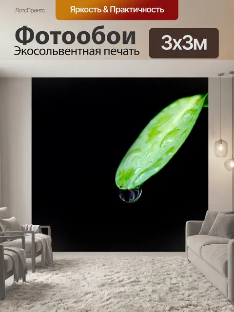 Фотообои Вода падает на зеленых листьях