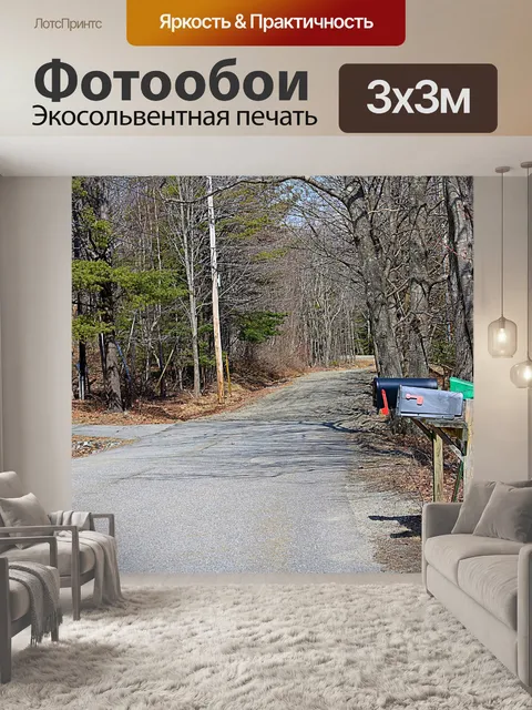 Фотообои Сельская дорога