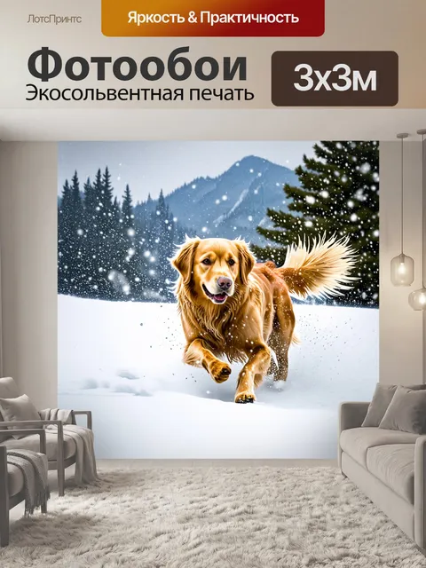 Фотообои золотистый ретривер играет в снегу на горнолыжном курорте, облетая снежные сугробы и создавая снежные бури