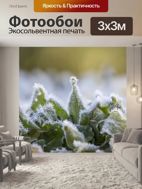 Фотообои Морозные зимние листья
