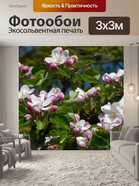 Фотообои Яблоневый цвет