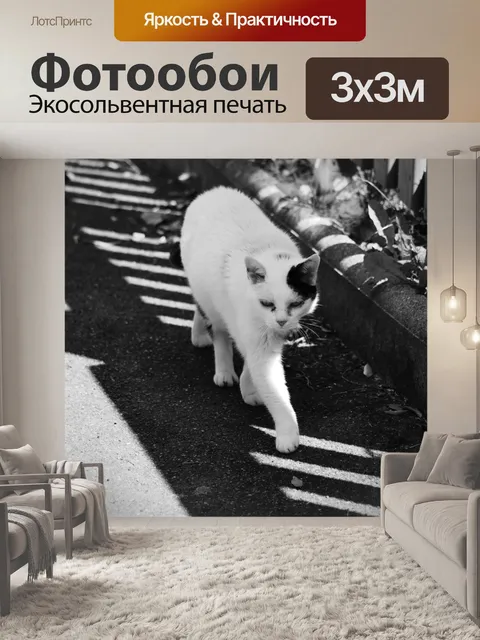 Фотообои Тень забора и кота