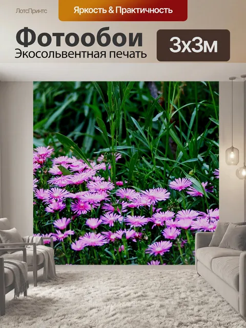 Фотообои Патч розовых vygies