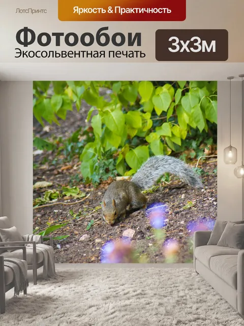 Фотообои Белка