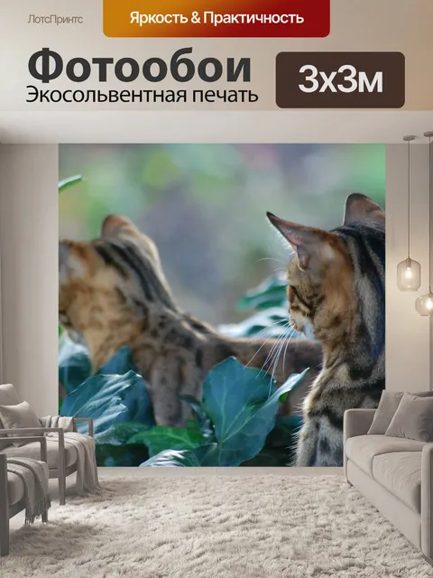 Фотообои Бенгальский кот