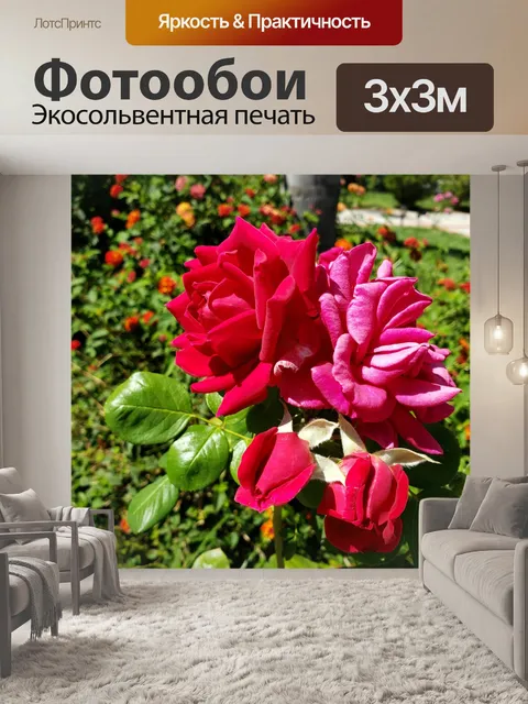Фотообои Розы
