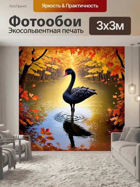 Фотообои в окружении тихого пруда черный лебедь стоит на одном ноге