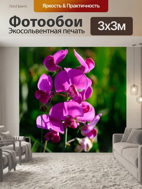 Фотообои Сладкого гороха