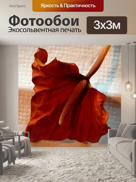 Фотообои Мертвый лист 013