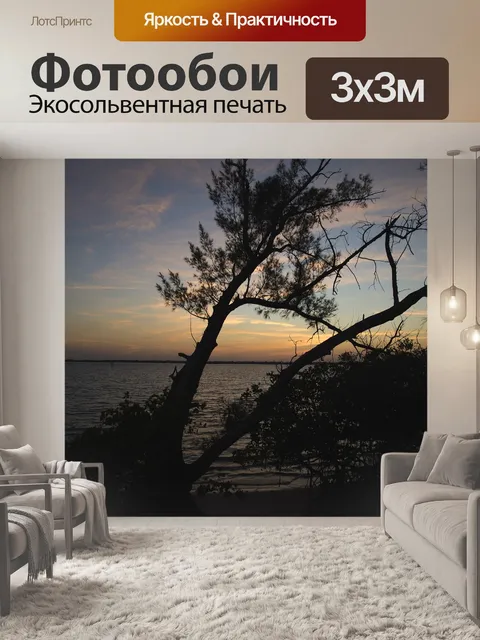 Фотообои Заход солнца