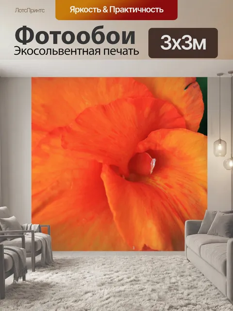 Фотообои деликатный Канна