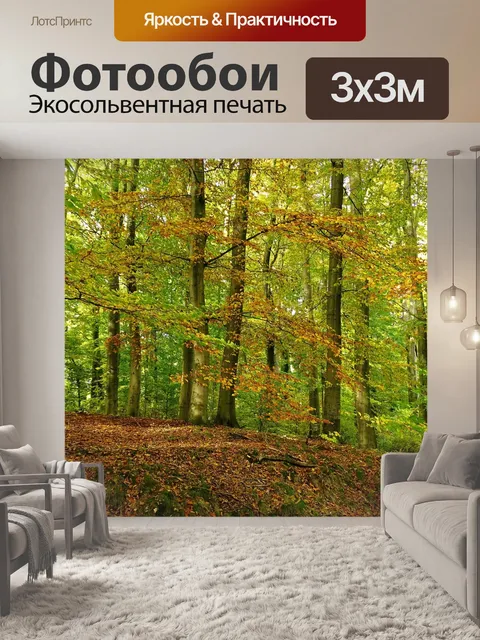 Фотообои Лес