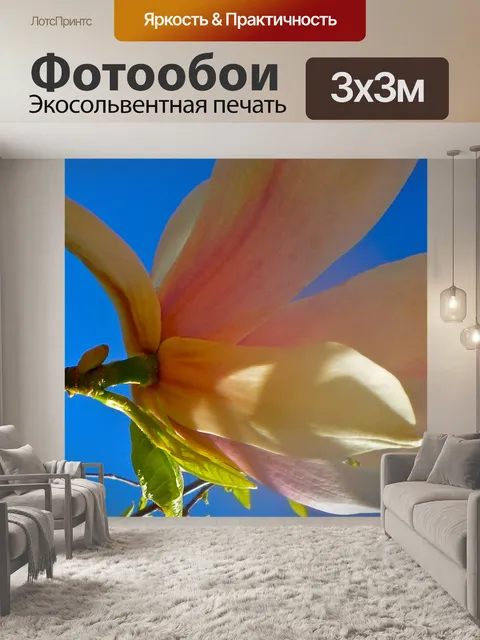 Фотообои Цветок