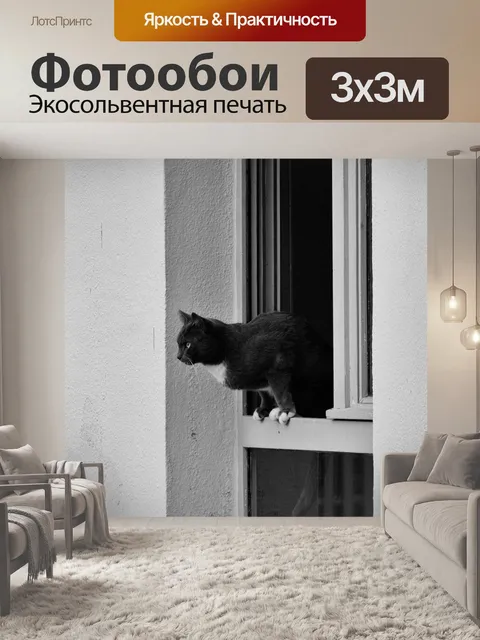 Фотообои Кот у окна