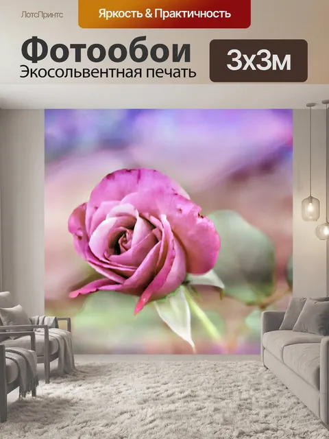 Фотообои роза
