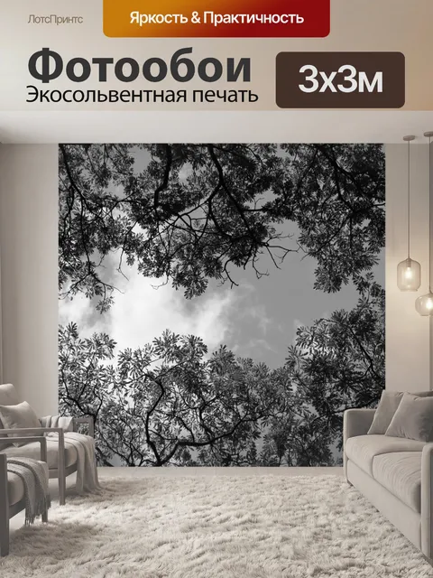 Фотообои Черное и белое