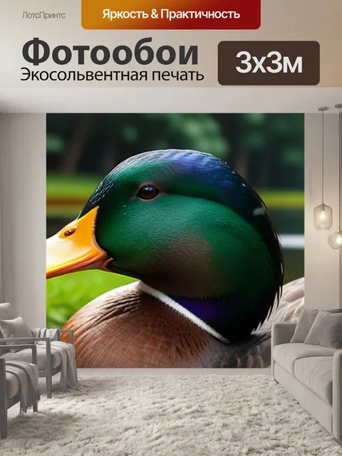 Фотообои пейзаж с уткой