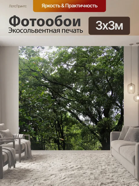 Фотообои Деревья в Коста-Рике
