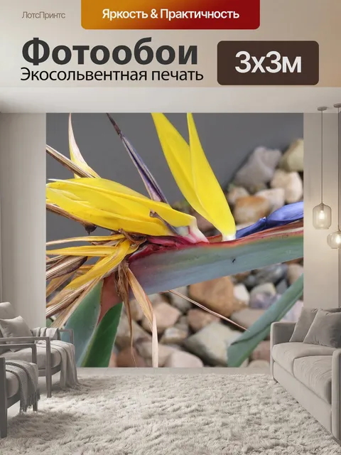 Фотообои Райская птица цветок