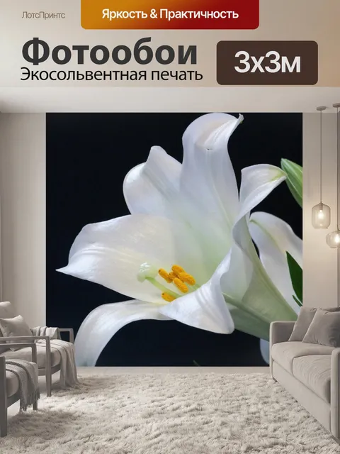 Фотообои Пасхальная лилия на черном фоне