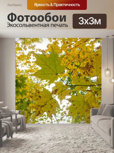 Фотообои Осенние листья
