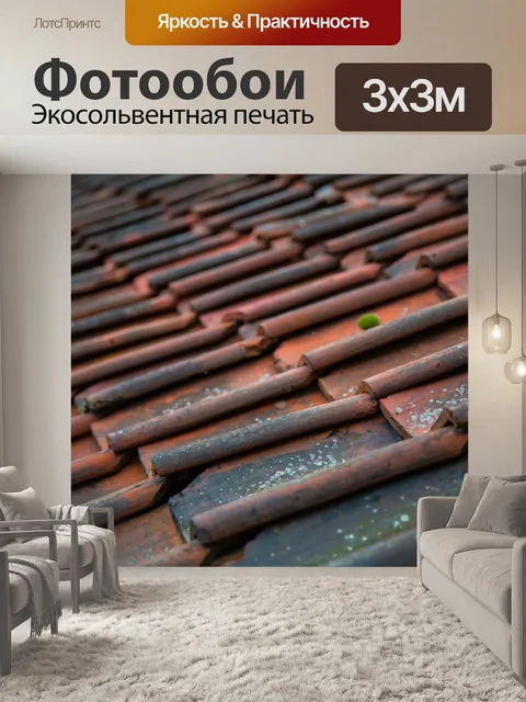 Фотообои крыша