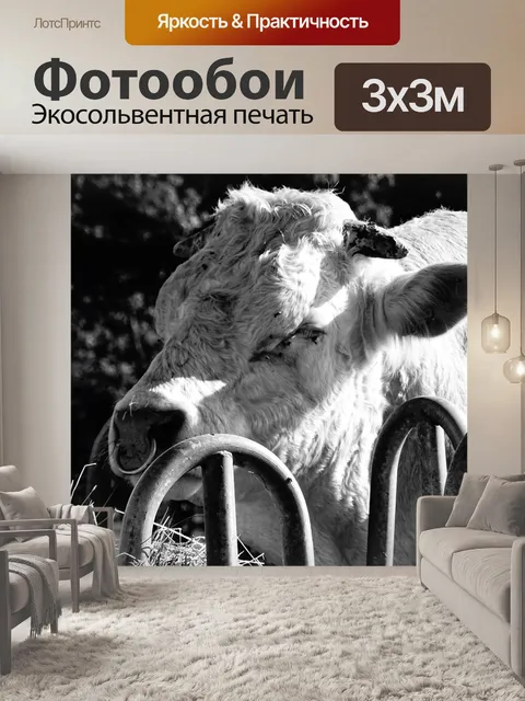 Фотообои Черный и белый