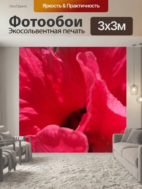 Фотообои Гибискус крупным планом