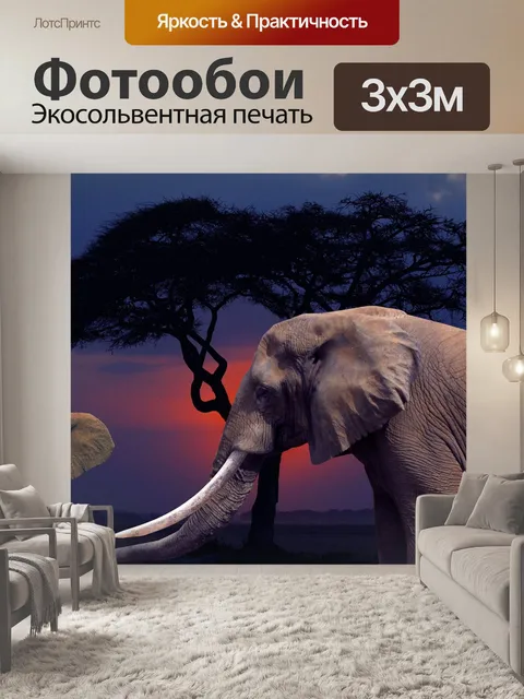 Фотообои Слоны