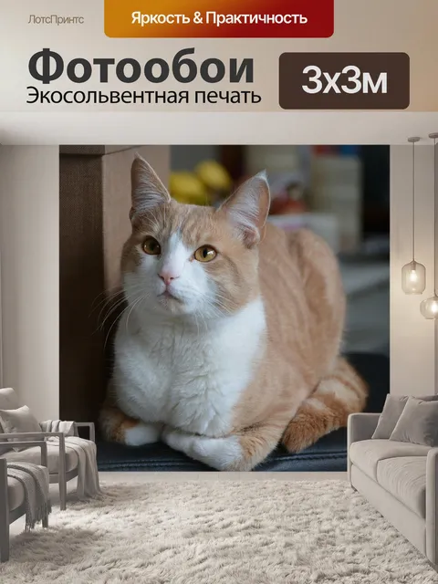 Фотообои Кот