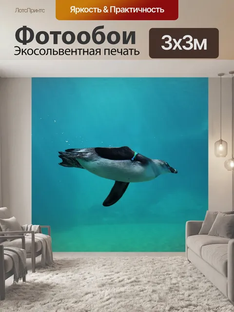 Фотообои Пингвин