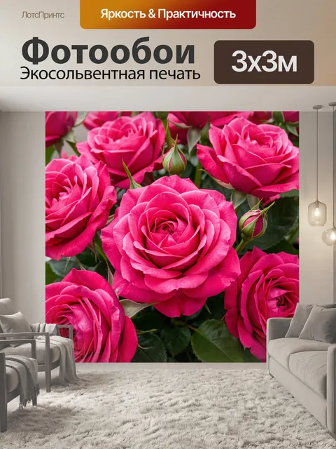 Фотообои Ярко-розовые розы в цвету