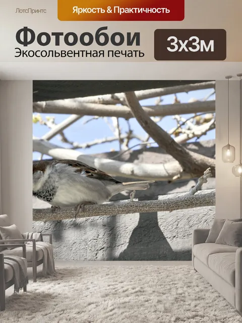 Фотообои Воробей на ветке