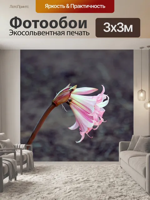 Фотообои Лили
