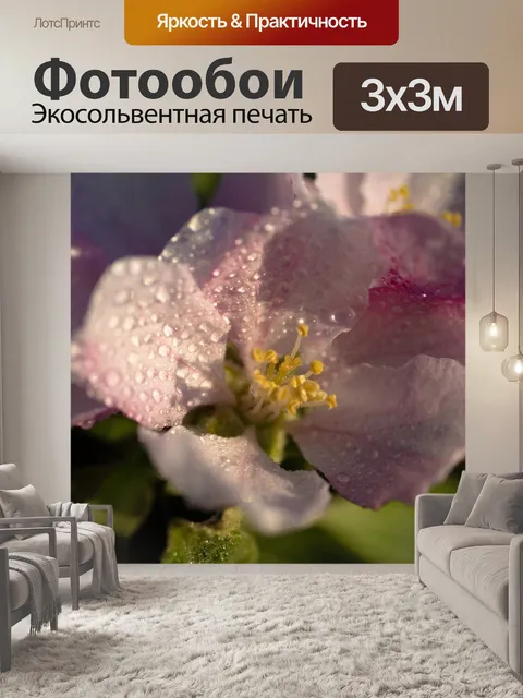 Фотообои Яблоневый цвет