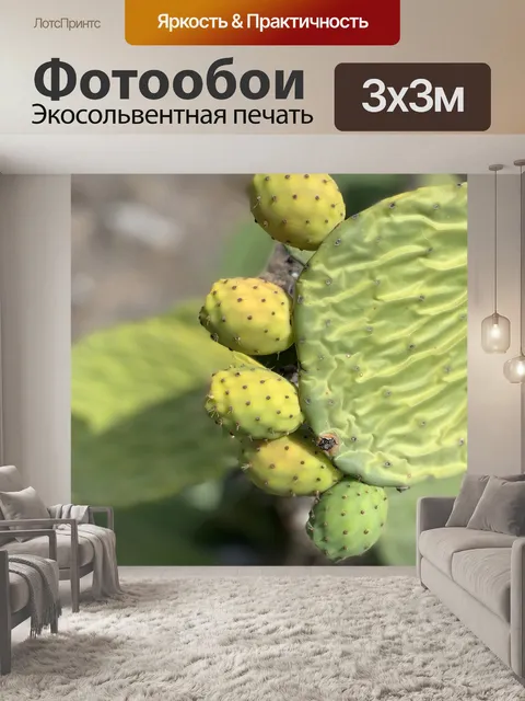 Фотообои Растения