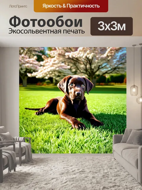 Фотообои щенок шоколадного лабрадора лежит на зеленом лужайке, на фоне цветущих деревьев