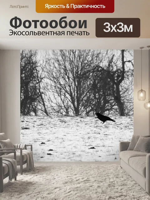 Фотообои Зима
