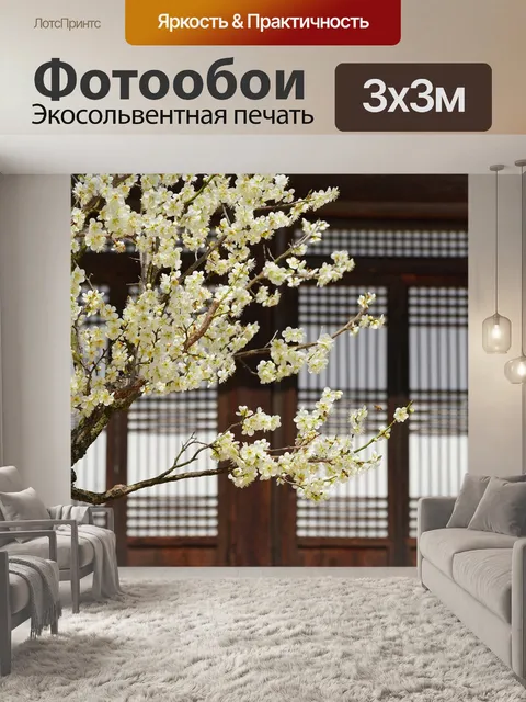 Фотообои Сливы
