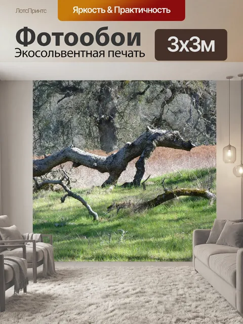 Фотообои Лесной дракон